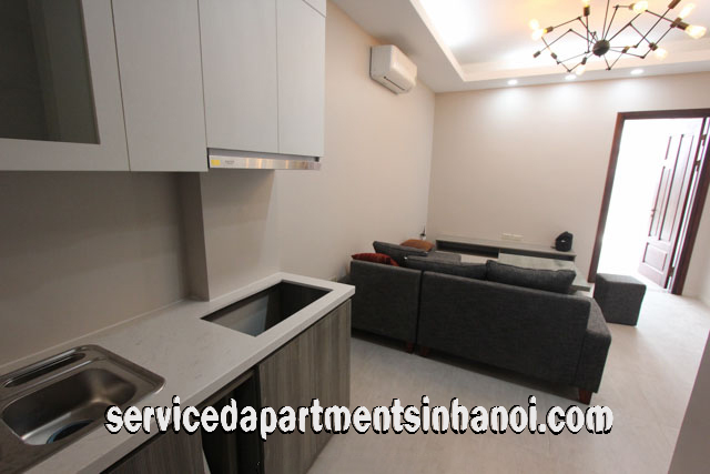 Brand New One Bedroom Apartment Rental in Trinh Cong Son str, Tay Ho 6