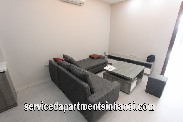 Brand New One Bedroom Apartment Rental in Trinh Cong Son str, Tay Ho 7