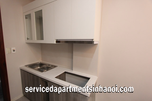 Brand New One Bedroom Apartment Rental in Trinh Cong Son str, Tay Ho 9