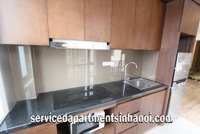 Brand New One Bedroom Apartment Rental in Van Cao str, Ba Dinh, Modern Amenities 7