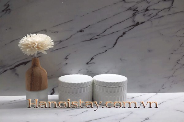 Brand New One Bedroom Apartment Rental in Van Cao street, Ba Dinh District 6