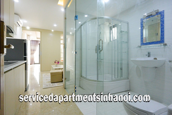 Brand New One Bedroom Apartment Rental near Water Park Area, Tay Ho 10