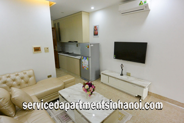 Brand New One Bedroom Apartment Rental near Water Park Area, Tay Ho 6