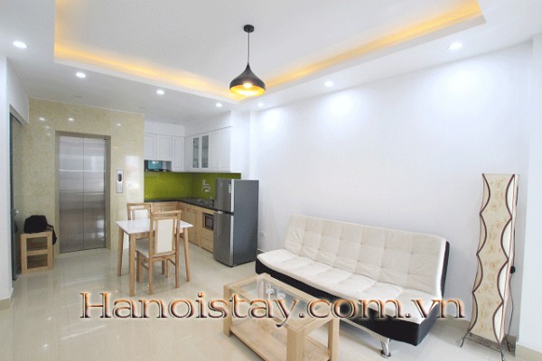 Brand New One Bedroom Property Rental in Xuan Dieu street, Tay Ho 6