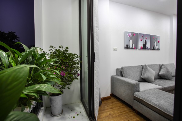 Brand New One Bedroom Serviced Apartment Rental in Phan Ke Binh street, Ba Dinh 5
