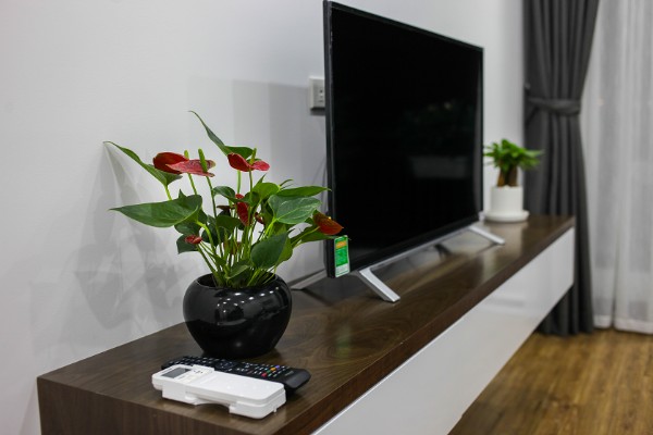 Brand New One Bedroom Serviced Apartment Rental in Phan Ke Binh street, Ba Dinh 18