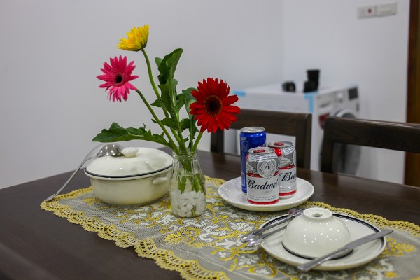 Brand New One Bedroom Serviced Apartment Rental in Phan Ke Binh street, Ba Dinh 24