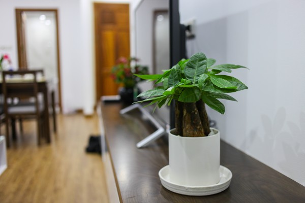 Brand New One Bedroom Serviced Apartment Rental in Phan Ke Binh street, Ba Dinh 27