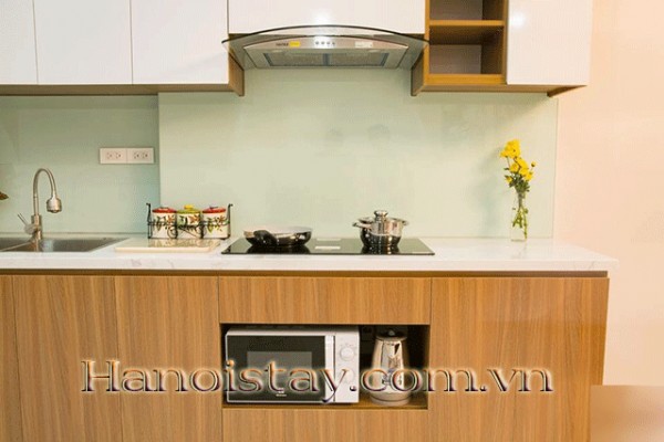 Brand New Property Rental in Xuan Dieu Area, Tay Ho, New Amenities 3