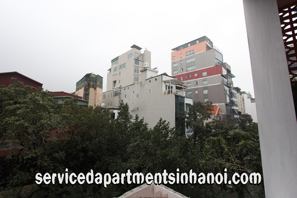 Brand New Serviced Apartment Rental in Bui Thi Xuan Street, Hai Ba Trung district 13