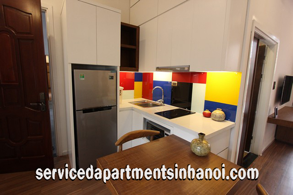 Brand New Serviced Apartment Rental in Bui Thi Xuan Street, Hai Ba Trung district 4