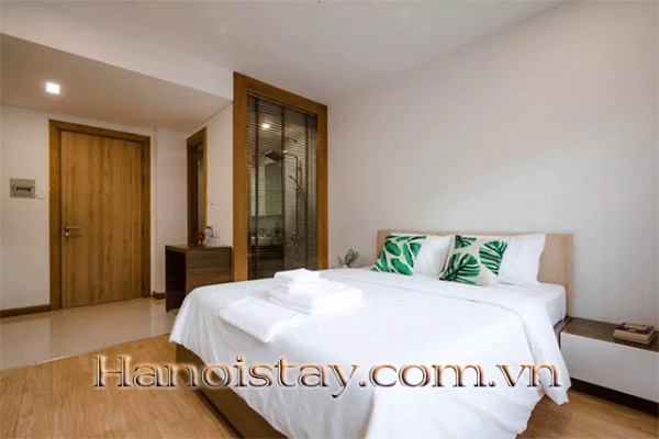 Brand New Serviced Apartment Rental in Dao Tan street, Ba Dinh 2