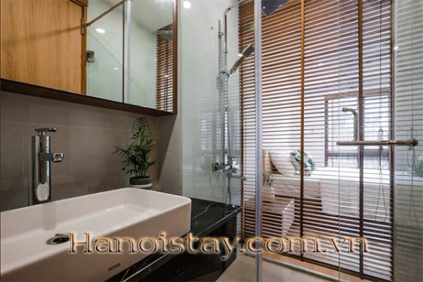 Brand New Serviced Apartment Rental in Dao Tan street, Ba Dinh 6