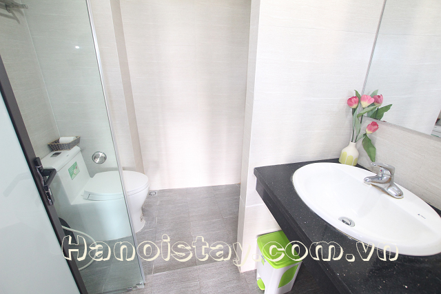 Brand New Serviced Apartment Rental in Doi Can street, Ba Dinh 9