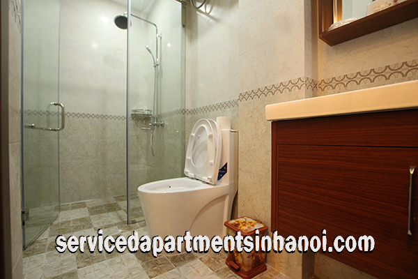 Brand New Serviced Apartment Rental in Giang Vo street, Dong Da 5