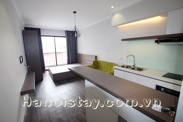 Brand New Serviced Apartment Rental in Giang Vo street, Dong Da 2