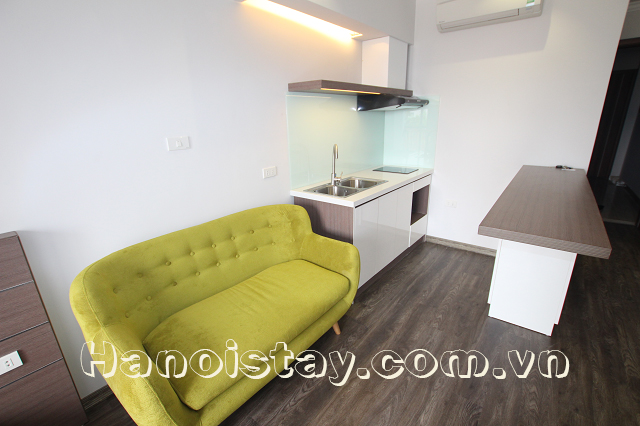 Brand New Serviced Apartment Rental in Giang Vo street, Dong Da 3