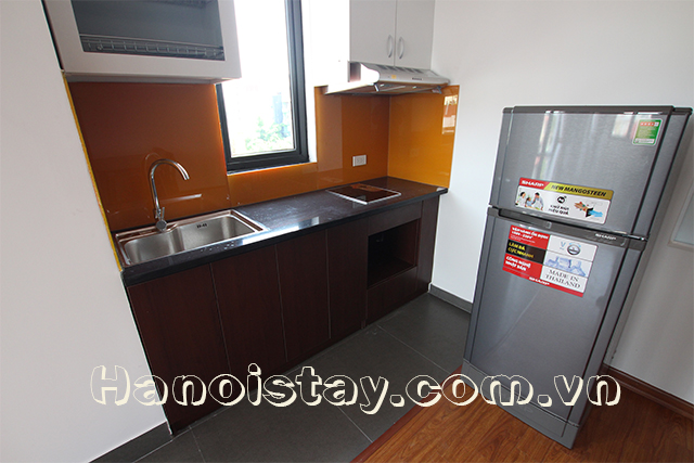 Brand New Serviced Apartment Rental in Linh Lang street, Center of Ba Dinh 3
