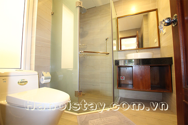 Brand New Serviced Apartment Rental in Nhat Chieu street, Tay Ho 9
