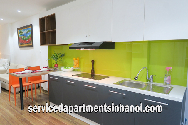 Brand New Serviced Apartment Rental near Temple of Literature, Dong Da 5