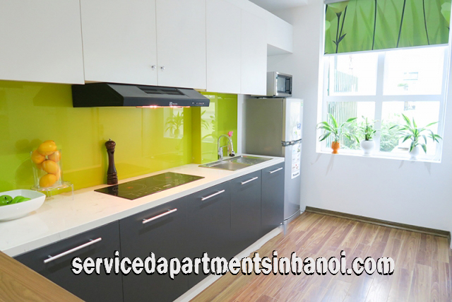 Brand New Serviced Apartment Rental near Temple of Literature, Dong Da 6