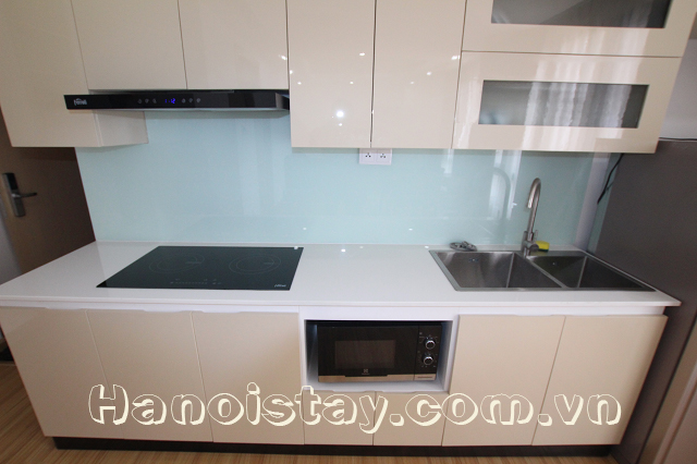 Brand New Serviced Apartment Rental near Thong Nhat Park, Dong Da 4