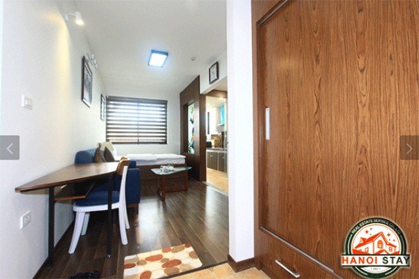 Brand New Serviced Property Rental in Cat Linh street, Dong Da 1