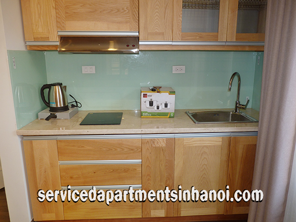 Brand New Studio Type Apartment Rental in Tay Ho distr, Hanoi 4