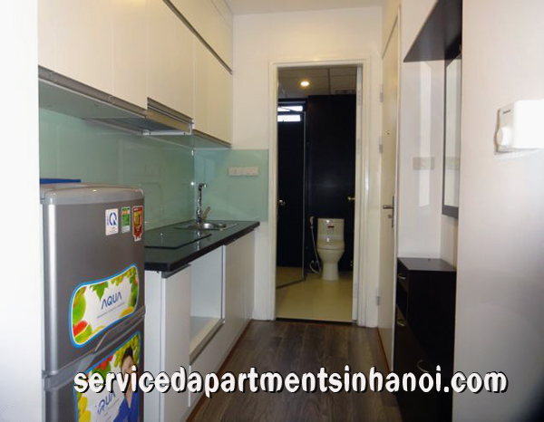 Brand New Studio Type Apartment rental in Xuan DIeu, Tay Ho 4