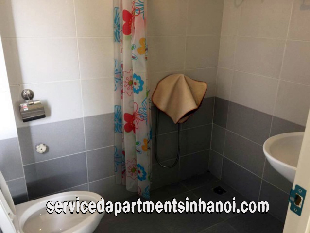 Brand New Two Bedroom Apartment Rental in Center of Hanoi 10