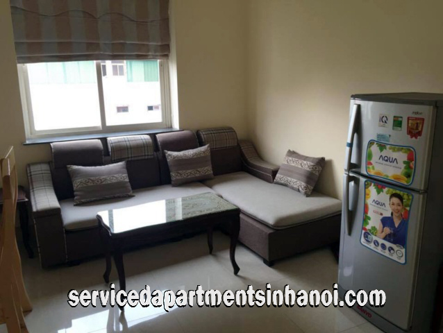 Brand New Two Bedroom Apartment Rental in Center of Hanoi 2