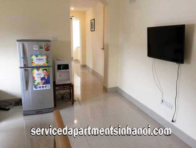 Brand New Two Bedroom Apartment Rental in Center of Hanoi 3