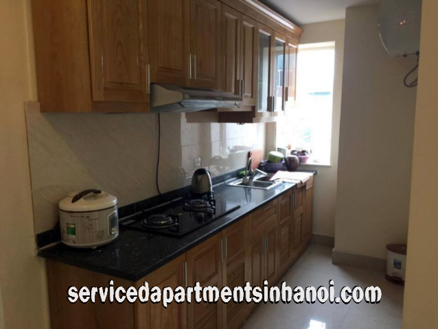 Brand New Two Bedroom Apartment Rental in Center of Hanoi 4