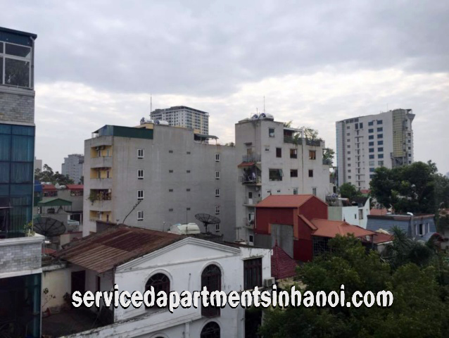 Brand New Two Bedroom Apartment Rental in Center of Hanoi 8