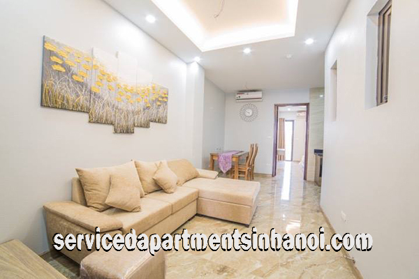 Brand New Two Bedroom Apartment Rental in Lang Ha street, Dong Da 1