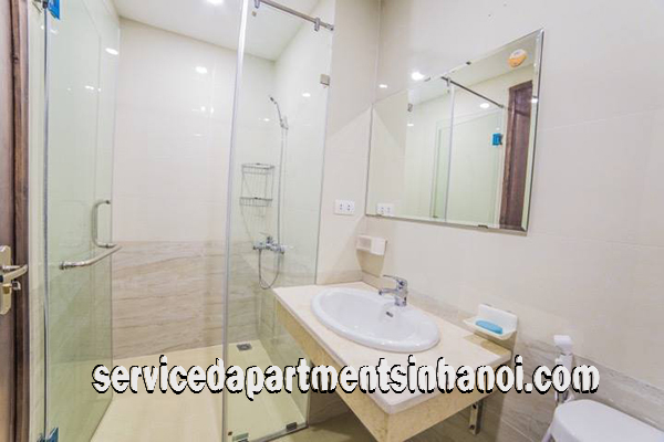 Brand New Two Bedroom Apartment Rental in Lang Ha street, Dong Da 13