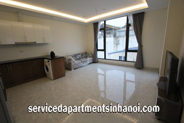 Brand New Two Bedroom Apartment Rental near Thong Nhat Park, Dong Da 1