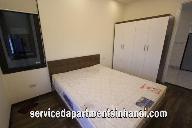 Brand New Two Bedroom Apartment Rental near Thong Nhat Park, Dong Da 6