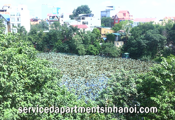 Brand New Villa For rent in Tay Ho street, Awesome Swimming Pool 2