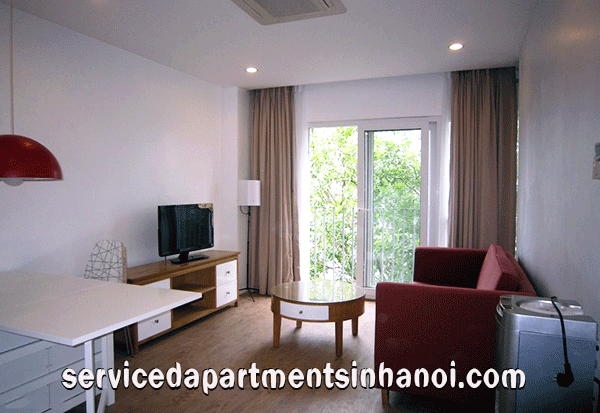 Bright and Airy serviced apartment rental in Hai Ba Trung, Two beds, full services 1