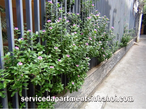 Bright and High Quality Serviced Apartment Rental in Dao Tan, Ba Dinh 2