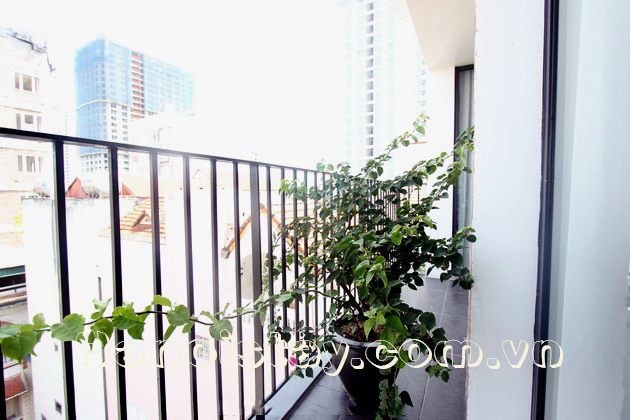 Bright and Modern Two bedroom Apartment Rental in Dang Thai Mai street, Tay Ho 5
