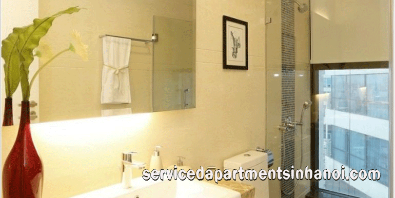 Bright Modern One Bedroom Apartment Opposite side of Vincom Park Palace 5