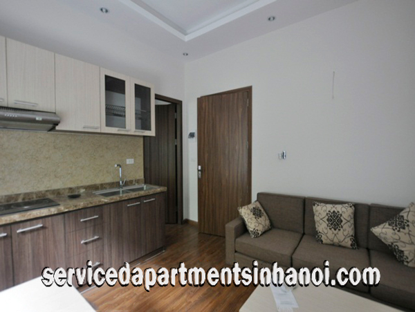 Bright One Bedroom Apartment for rent in Dang Thai Mai str, Tay Ho, Budget Price 6