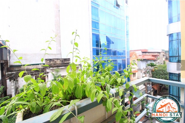 Bright One Bedroom Apartment for rent in Linh Lang, Ba Dinh 8