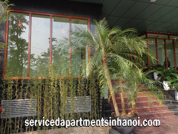 Bright studio for rent in Duy Tan str, Cau Giay district, Brand New Amenities 3
