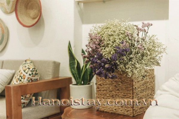 Budget Price One Bedroom Apartment Close To Hanoi Opera House 12