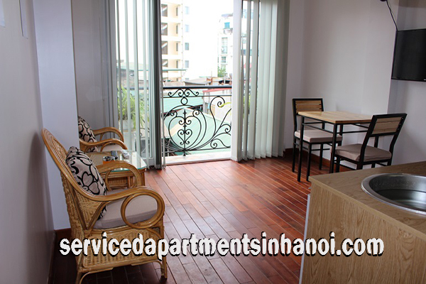 Budget Price One Bedroom Apartment Rental near Phan Chu Trinh street, Hoan Kiem 1