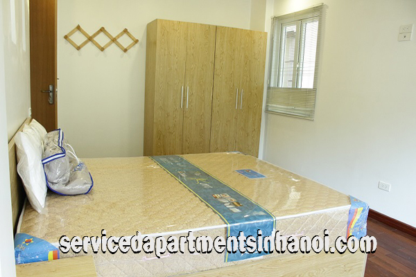 Budget Price One Bedroom Apartment Rental near Phan Chu Trinh street, Hoan Kiem 5