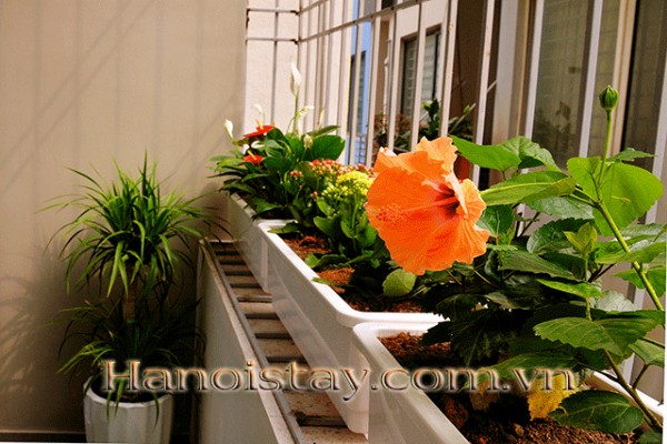 Budget Price Serviced Apartment Rental in Center of Cau Giay district, Hanoi 8